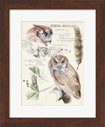 Framed Wildlife Journals I Print