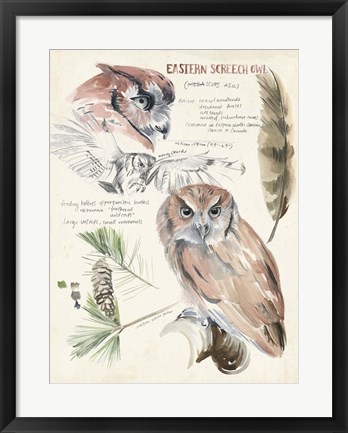 Framed Wildlife Journals I Print