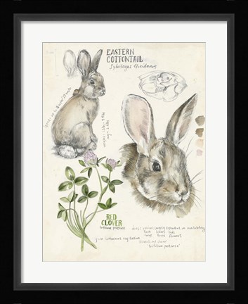 Framed Wildlife Journals II Print