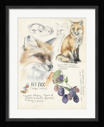Framed Wildlife Journals III Print