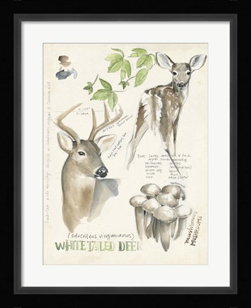 Framed Wildlife Journals IV Print