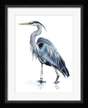 Framed Blue Blue Heron II Print