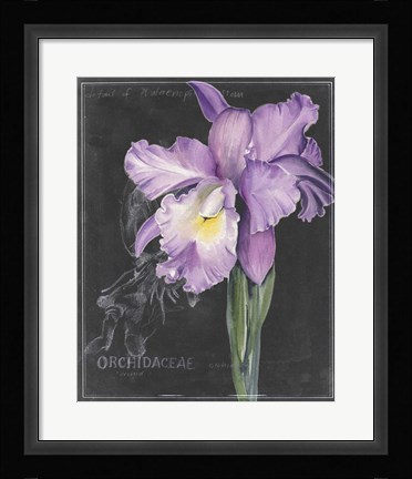Framed Chalkboard Flower II Print