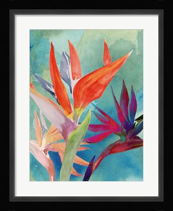 Framed Vivid Birds of Paradise I Print