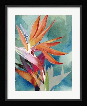 Framed Vivid Birds of Paradise II Print
