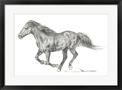 Framed Wild Horse Portrait I Print