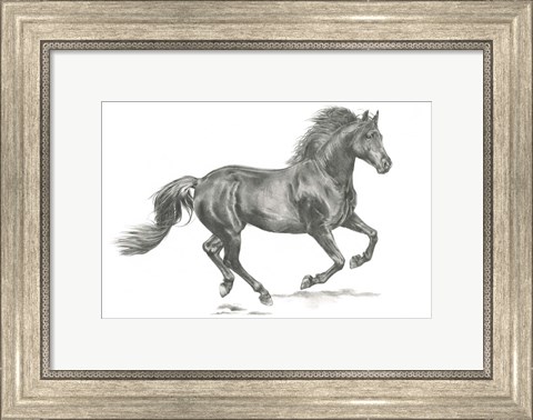 Framed Wild Horse Portrait II Print