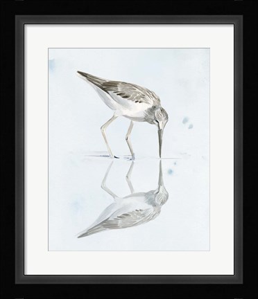 Framed Sandpiper Reflections I Print