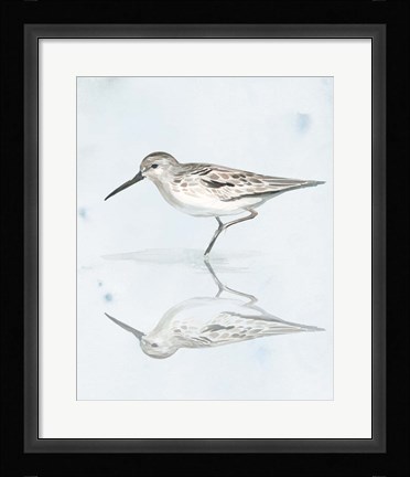 Framed Sandpiper Reflections II Print