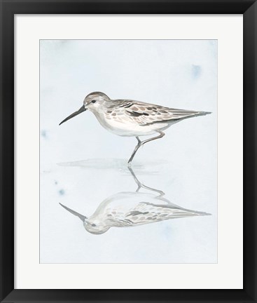 Framed Sandpiper Reflections II Print