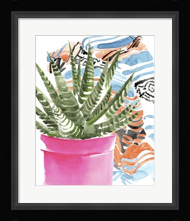 Framed Zebra Succulent II Print