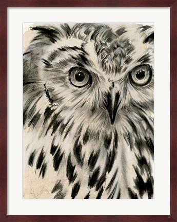 Framed Charcoal Owl I Print