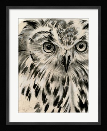 Framed Charcoal Owl I Print
