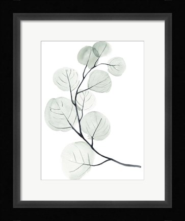 Framed Silver Dollars I Print