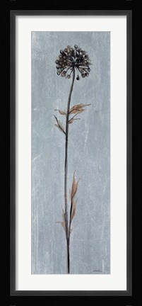 Framed Cool Botanicals I Print