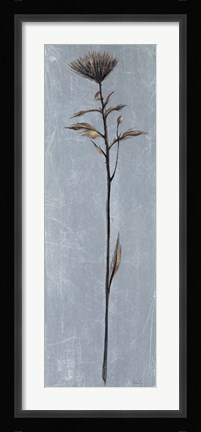 Framed Cool Botanicals II Print