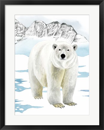 Framed Arctic Animal II Print