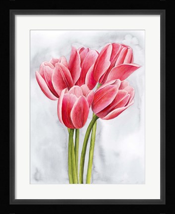 Framed Tulip Tangle II Print