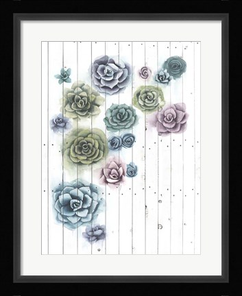Framed Shiplap Succulent Cluster II Print