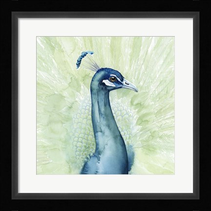 Framed Lucent Plume I Print