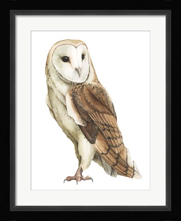 Framed Alba II Print