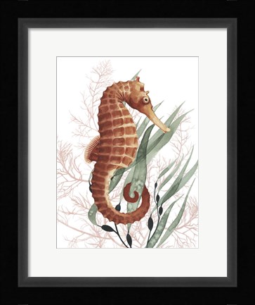 Framed Seahorse Treasures I Print