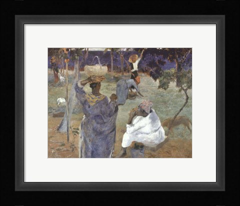 Framed Martinique, 1887 Print