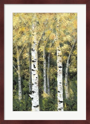Framed Birch Treeline II Print