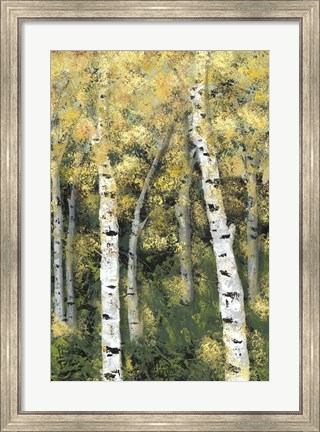 Framed Birch Treeline III Print