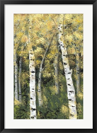 Framed Birch Treeline III Print