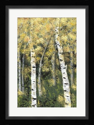 Framed Birch Treeline III Print