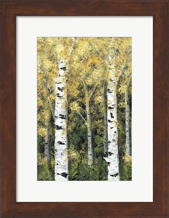 Framed Birch Treeline I Print