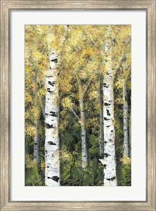 Framed Birch Treeline I Print