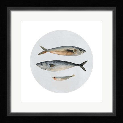 Framed Three Fish I Print