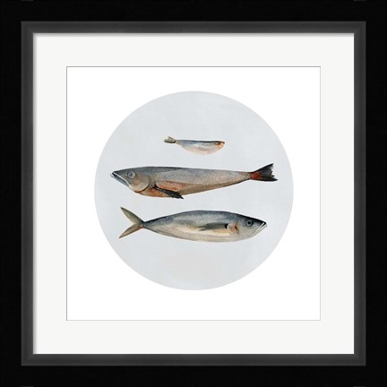 Framed Three Fish II Print