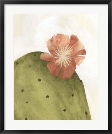 Framed Arid Bloom II Print