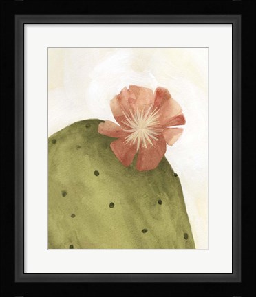 Framed Arid Bloom II Print