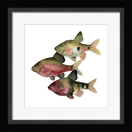 Framed Rainbow Fish I Print
