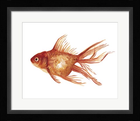 Framed Ornamental Goldfish I Print
