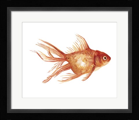 Framed Ornamental Goldfish II Print