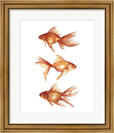 Framed Ornamental Goldfish III Print