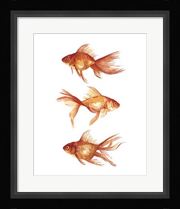 Framed Ornamental Goldfish III Print