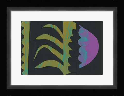 Framed Cabana II Print