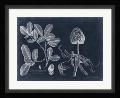 Framed Foliage on Navy II Print