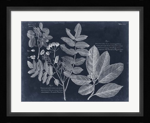 Framed Foliage on Navy V Print