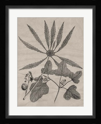 Framed Eloquent Leaves III Print