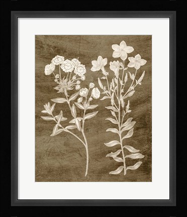 Framed Botanical in Taupe I Print
