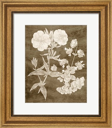 Framed Botanical in Taupe II Print
