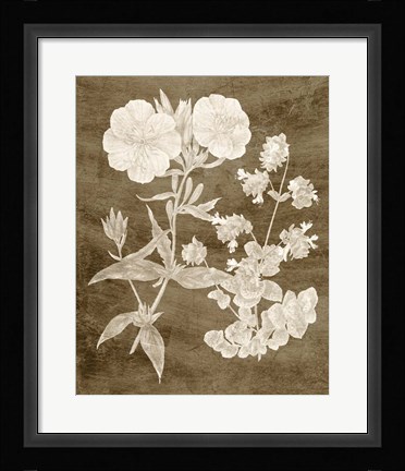 Framed Botanical in Taupe II Print