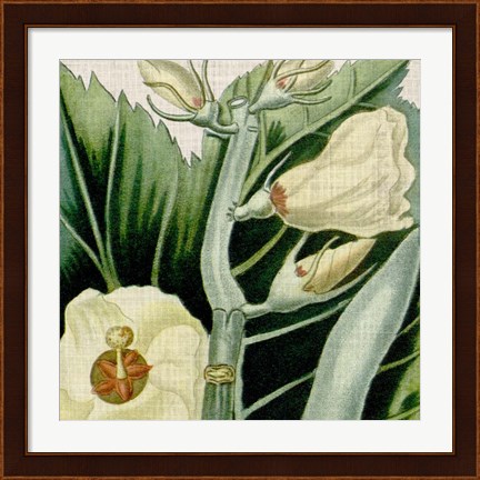 Framed Cropped Turpin Tropicals III Print